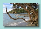 33_North Island Beach